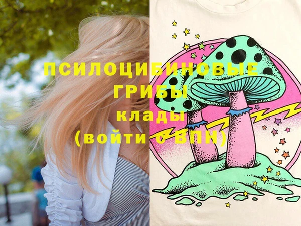 a pvp Алзамай