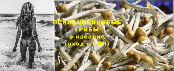 таблы Аркадак