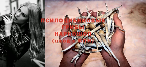 таблы Аркадак