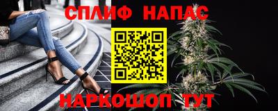 apvp Новодвинск