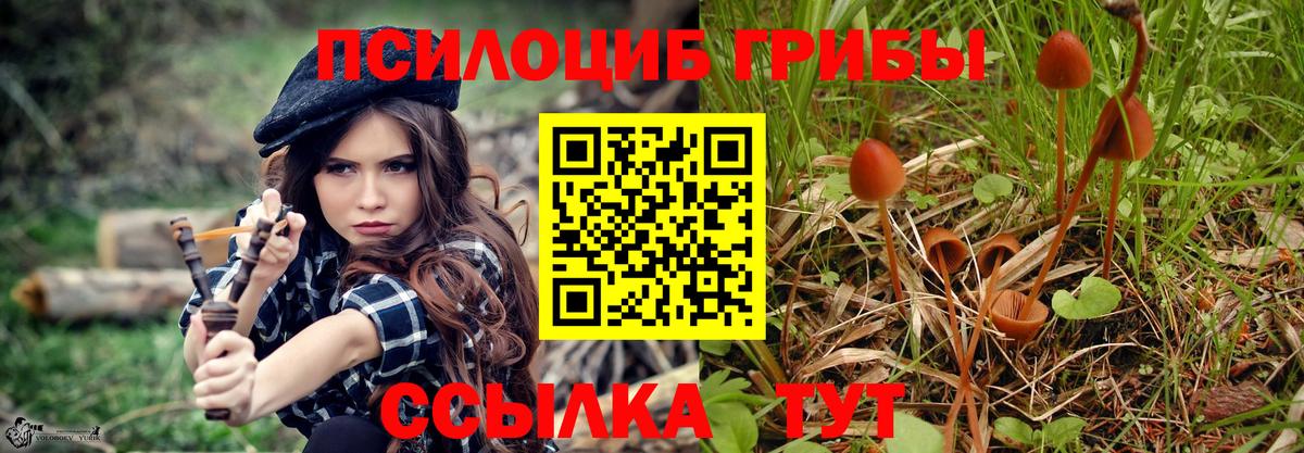 Пенза  Галлюциногенные грибы Magic Shrooms  Вход с VPN 
